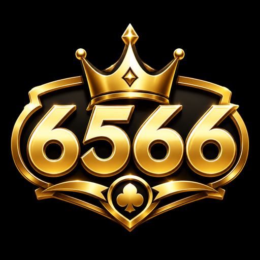 6566