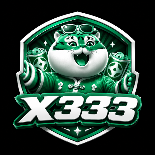 x333